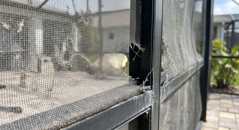 How long does pool cage screen last in Florida guide